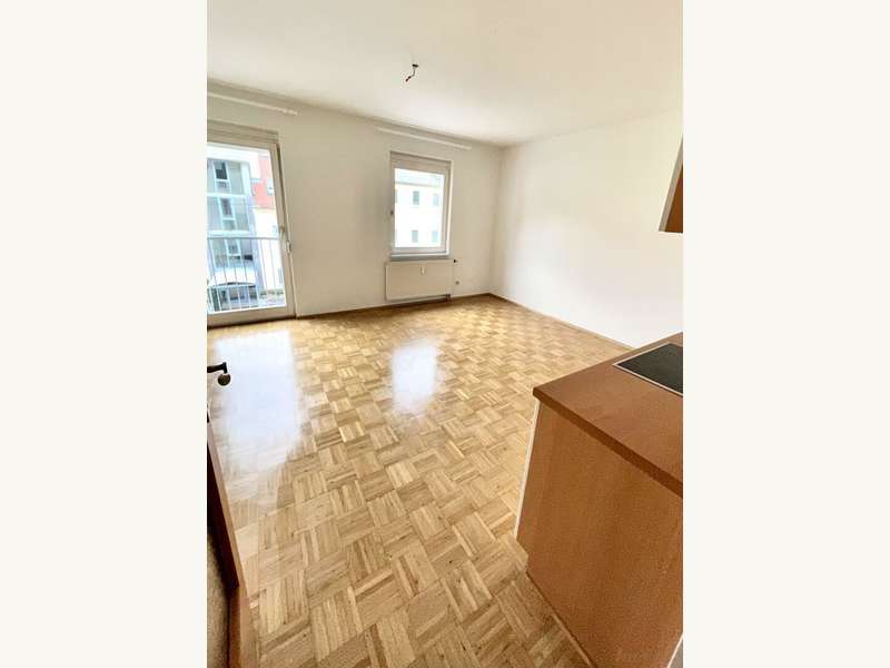 Wohnraum mit offener Küche