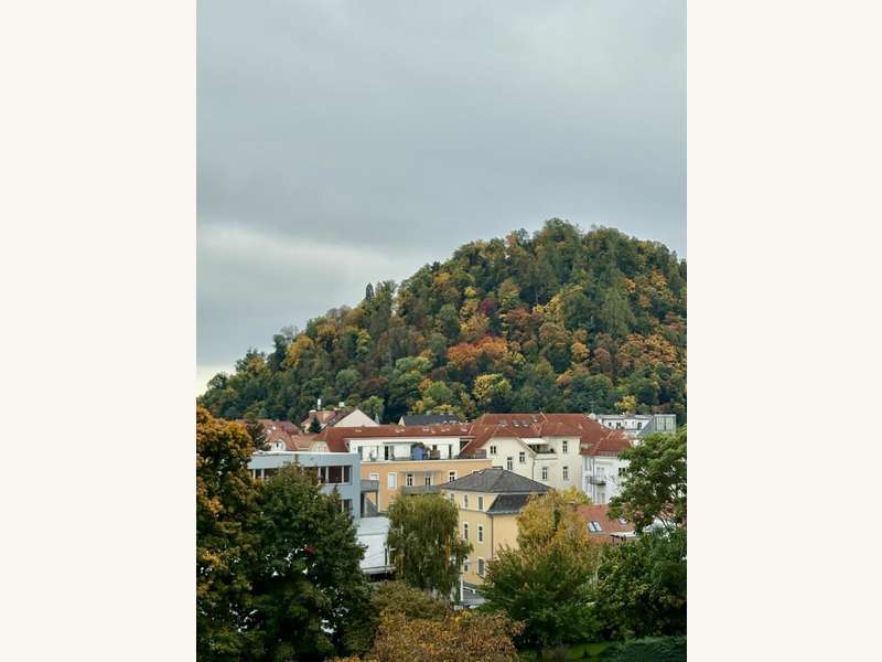 Mietwohnung Graz: Ausblick von der Loggia Ausblick von der Loggia