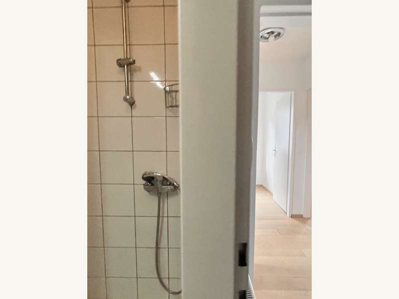 Dachgeschosswohnung Graz: Dusche Dusche