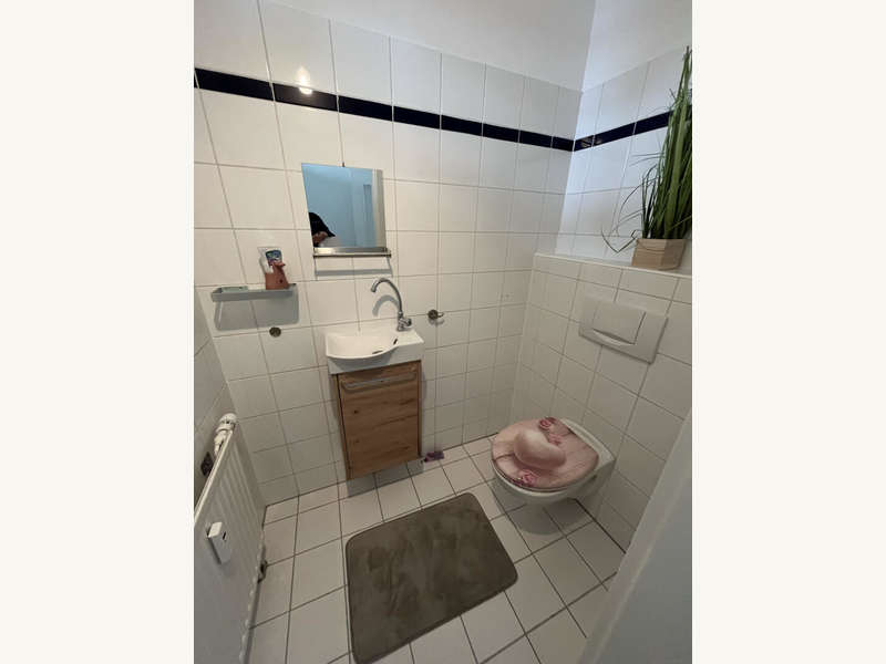Maisonette Graz: WC mit Waschbecken im EG WC mit Waschbecken im EG