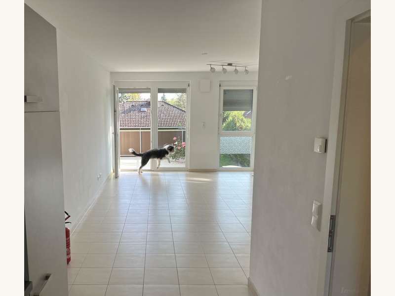 EEBF41F6-AA2E-4A1E-8F9E-31C77FDDB4AF