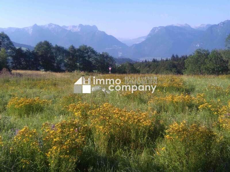 Landwirtschaft in Salzburg - Bild 2 Landwirtschaft in Salzburg - Bild 2
