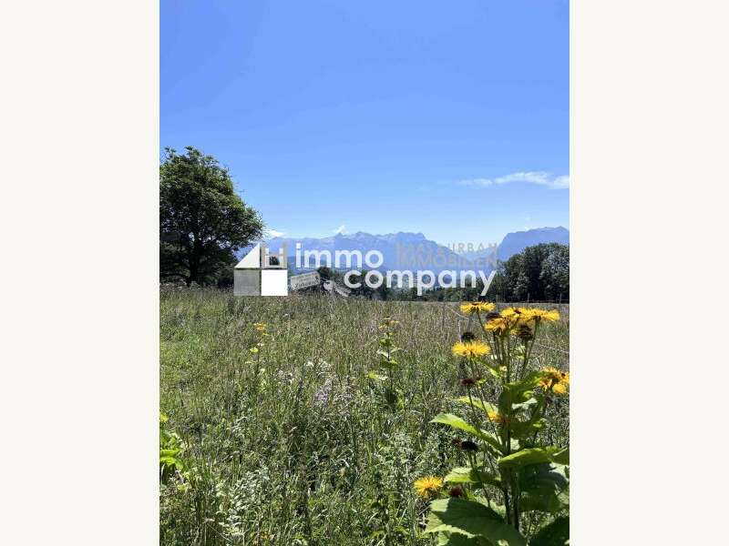 Landwirtschaft in Salzburg - Bild 4 Landwirtschaft in Salzburg - Bild 4