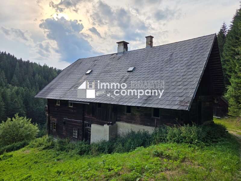 Landwirtschaftsimmobilie in Fochnitz - Bild 3