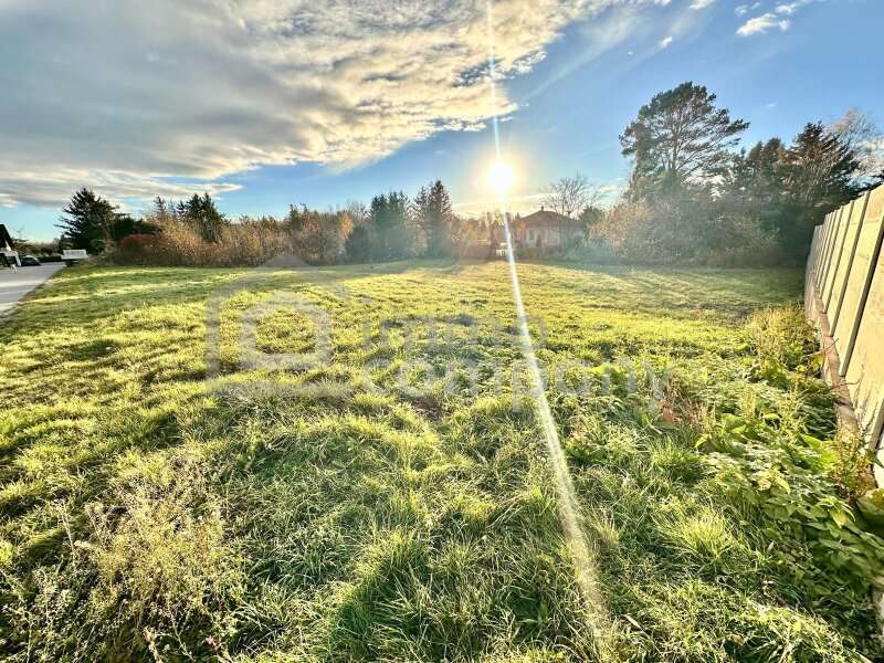 Baugrundstück Lassee: Grundstück Grundstück