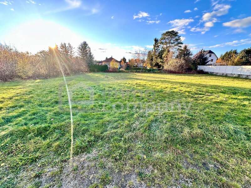 Baugrundstück Lassee: Grundstück Grundstück