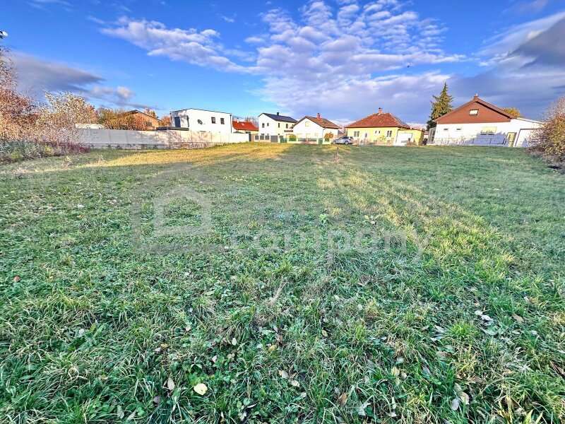 Baugrundstück Lassee: Grundstück Grundstück