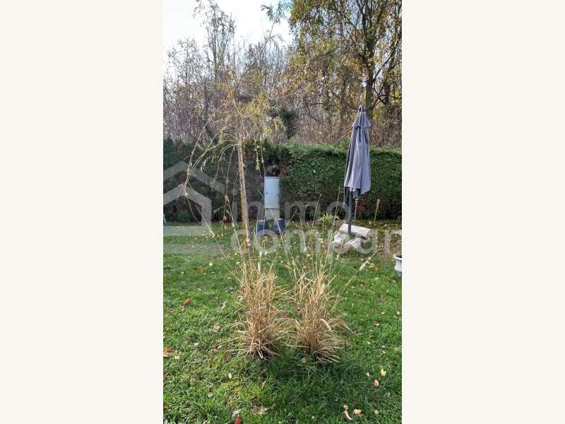 Grundstück in Lassee - Bild 7 Grundstück in Lassee - Bild 7