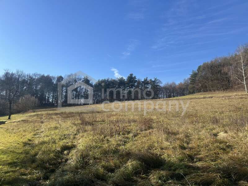 Grundstück in Minihof-Liebau - Bild 2 Grundstück in Minihof-Liebau - Bild 2