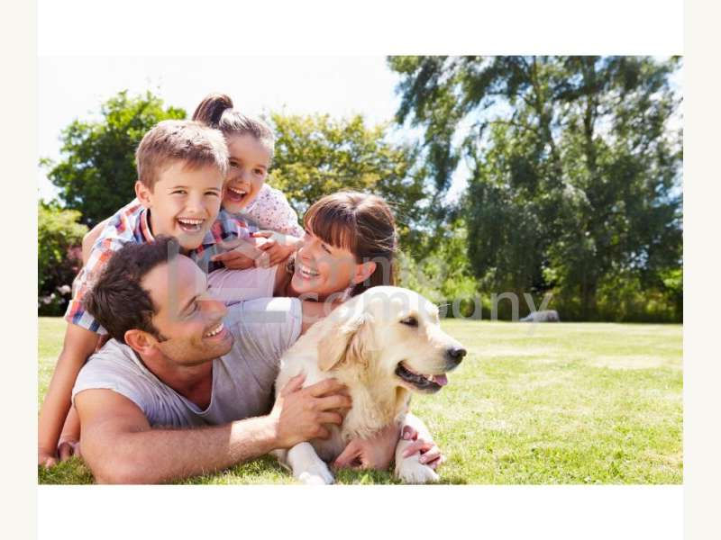 Grundstück in Dillach - Bild 2