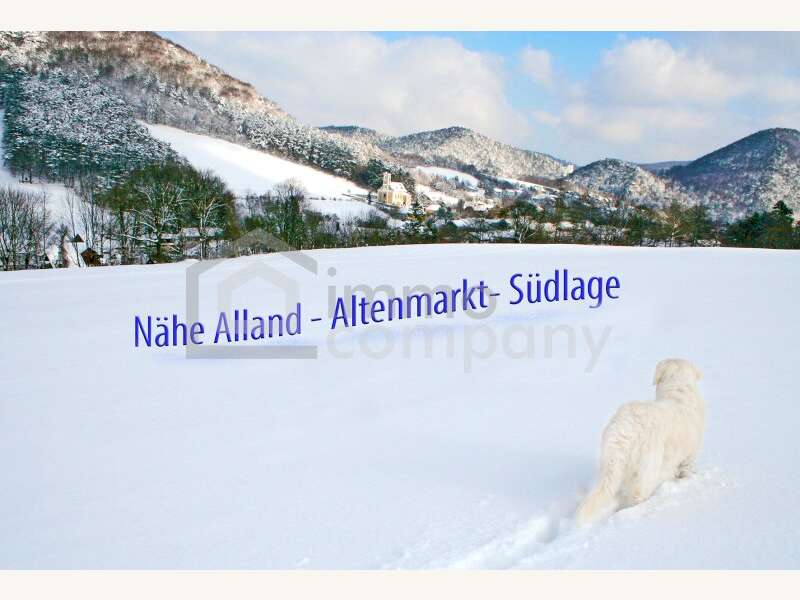 Grundstück in Altenmarkt an der Triesting - Bild 3