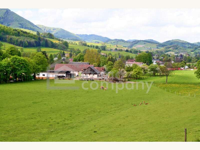 Grundstück in Altenmarkt an der Triesting - Bild 4