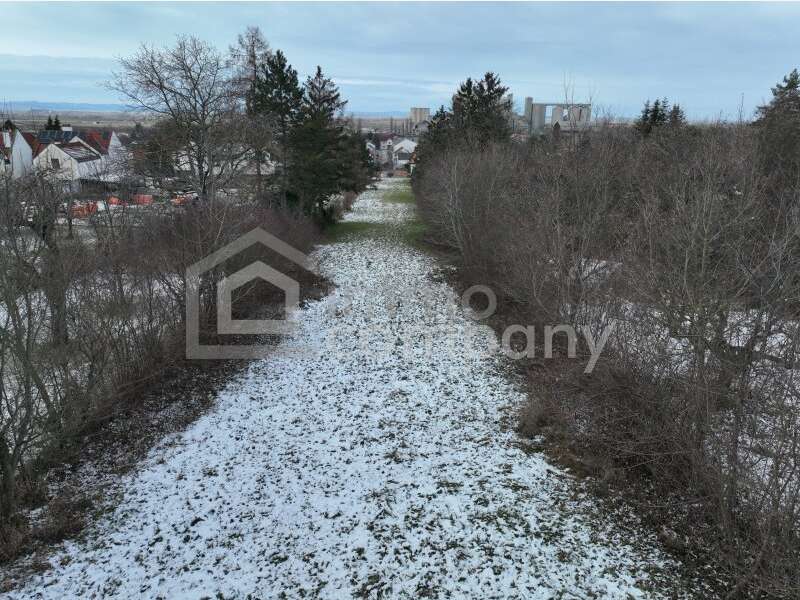 Grundstück in Mannersdorf am Leithagebirge - Bild 3 Grundstück in Mannersdorf am Leithagebirge - Bild 3