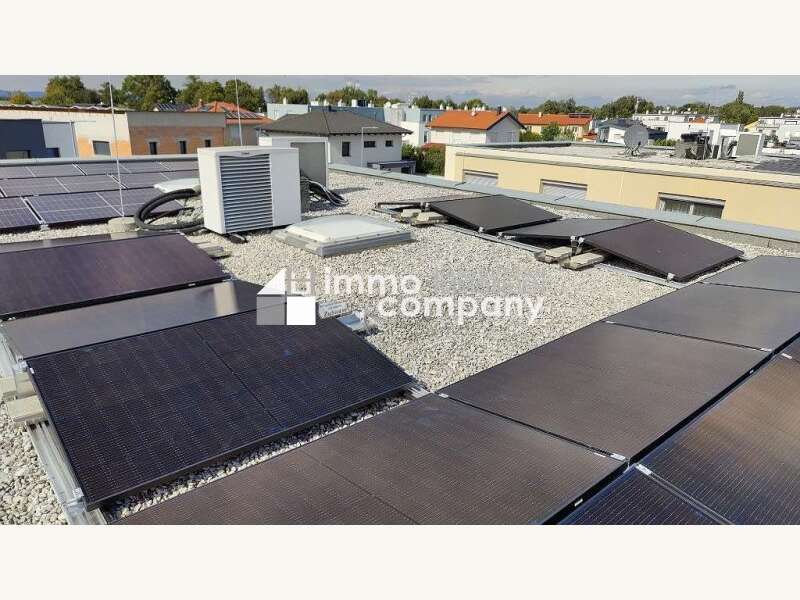 Doppelhaushälfte Mitterndorf an der Fischa: PV Anlage PV Anlage