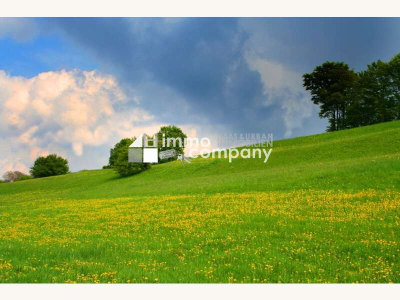 Einfamilienhaus in Groisbach - Bild 7
