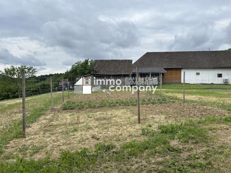 Haus in Sankt Martin an der Raab - Bild 13