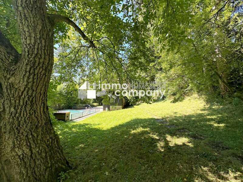Haus in Altenmarkt an der Triesting - Bild 6