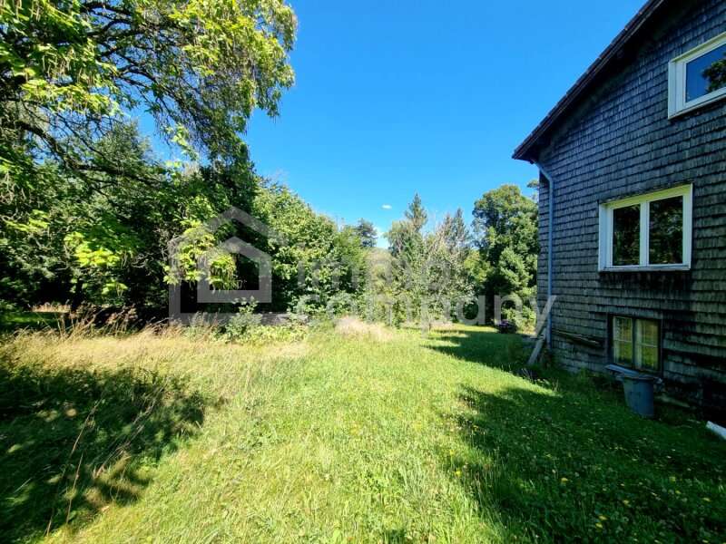 Haus in Tullnerbach-Lawies - Bild 6