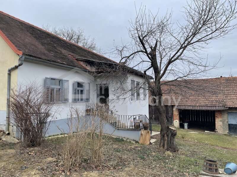 Einfamilienhaus in Güssing - Bild 9