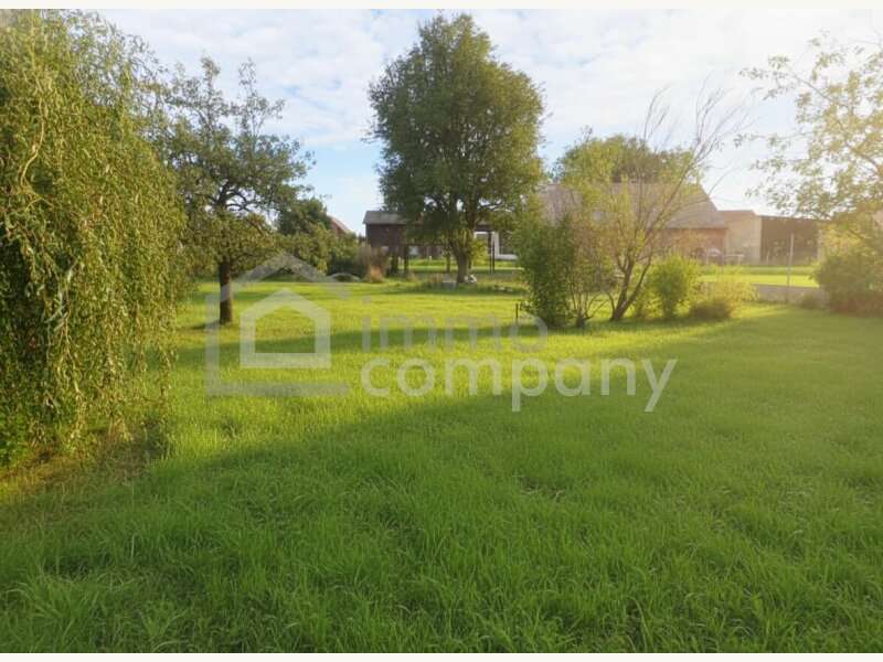 Einfamilienhaus in Dobermannsdorf - Bild 10 Einfamilienhaus in Dobermannsdorf - Bild 10