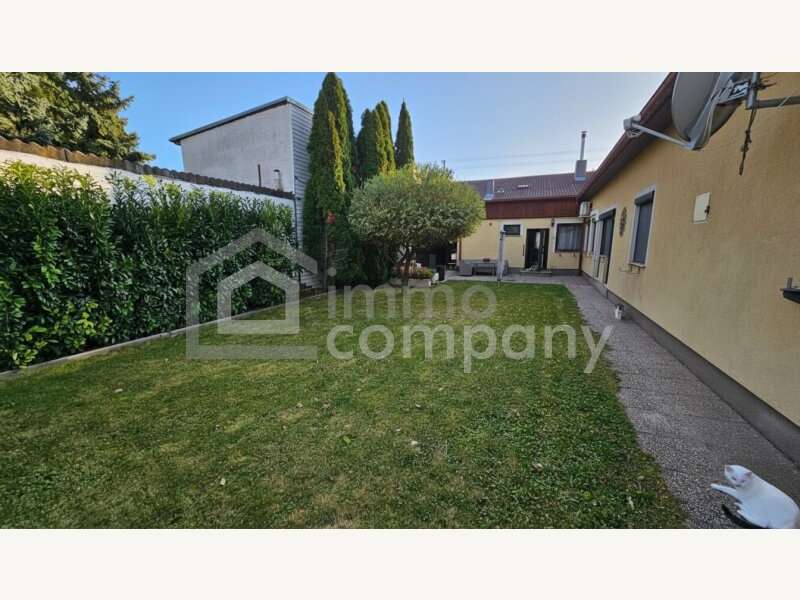 Einfamilienhaus in Götzendorf an der Leitha - Bild 10