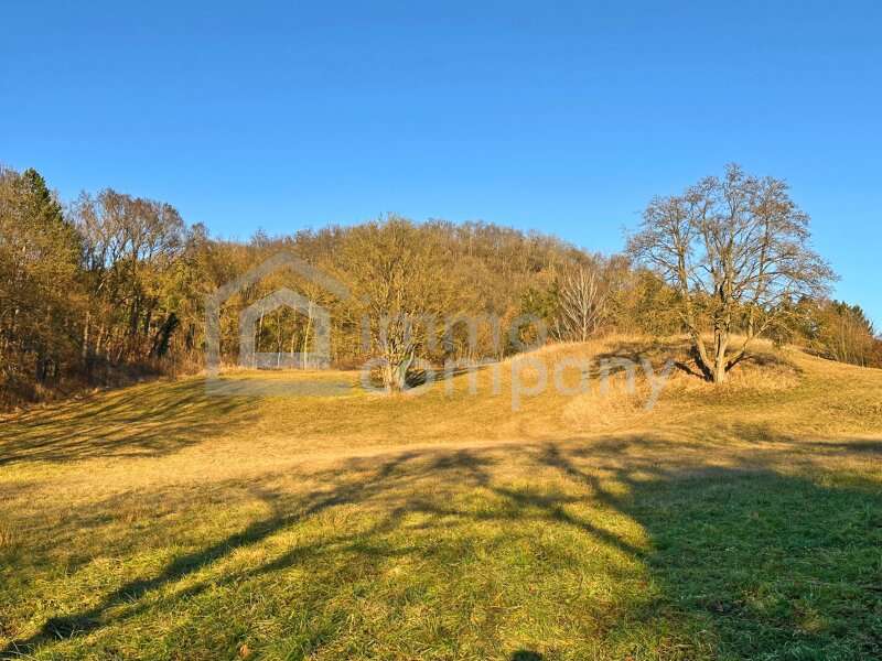 Doppelhaushälfte in Alland - Bild 7