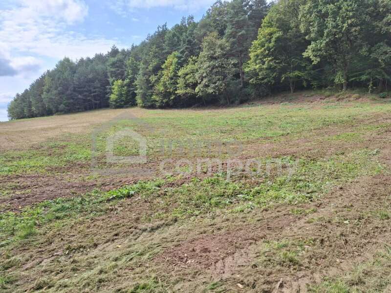 Haus in Heiligenkreuz im Lafnitztal - Bild 17