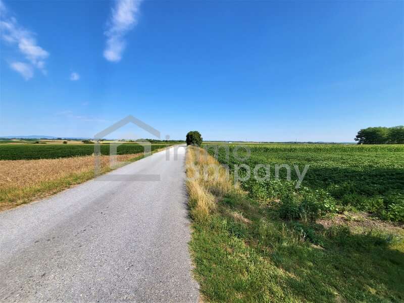 Reihenmittelhaus in Mannersdorf am Leithagebirge - Bild 14