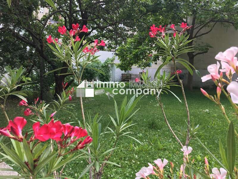 Garten mit Oleander