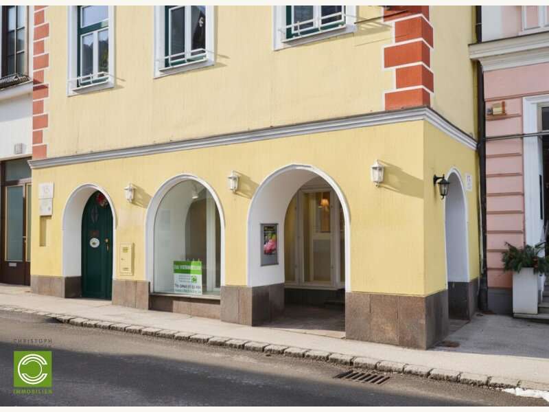 Geschäftslokal in Perchtoldsdorf - Bild 16