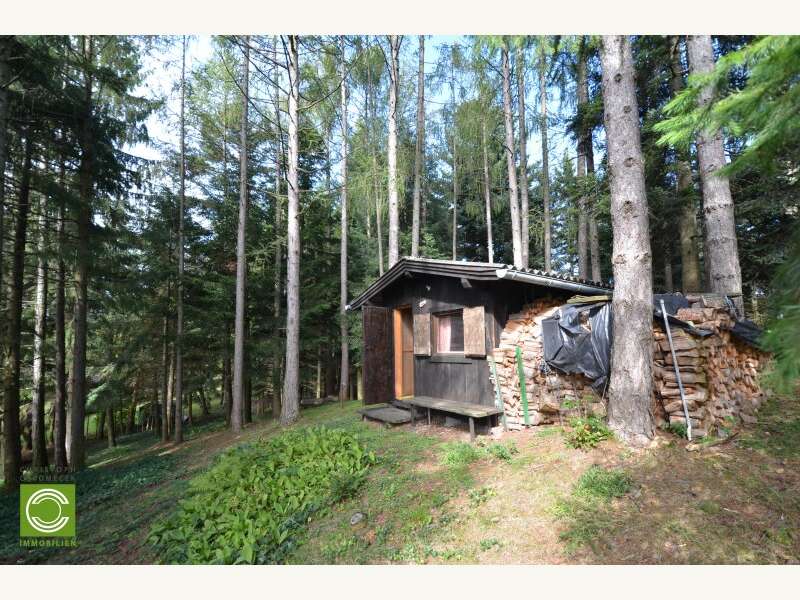 Landhaus in Sulz im Wienerwald - Bild 10 Landhaus in Sulz im Wienerwald - Bild 10