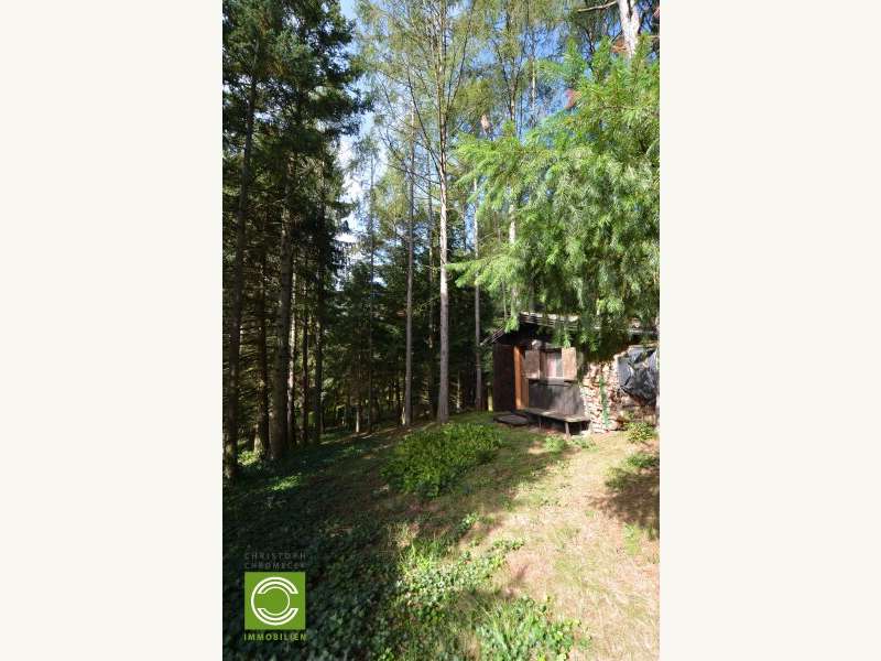 Landhaus in Sulz im Wienerwald - Bild 11 Landhaus in Sulz im Wienerwald - Bild 11