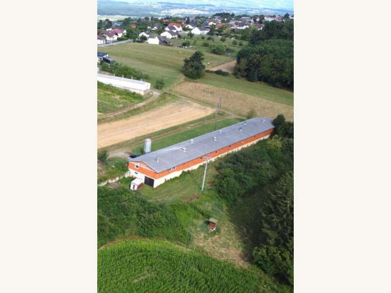 Lager mit Freifläche Stinatz: Ansicht Ansicht