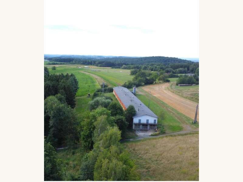 Lager mit Freifläche Stinatz: Ansicht Ansicht