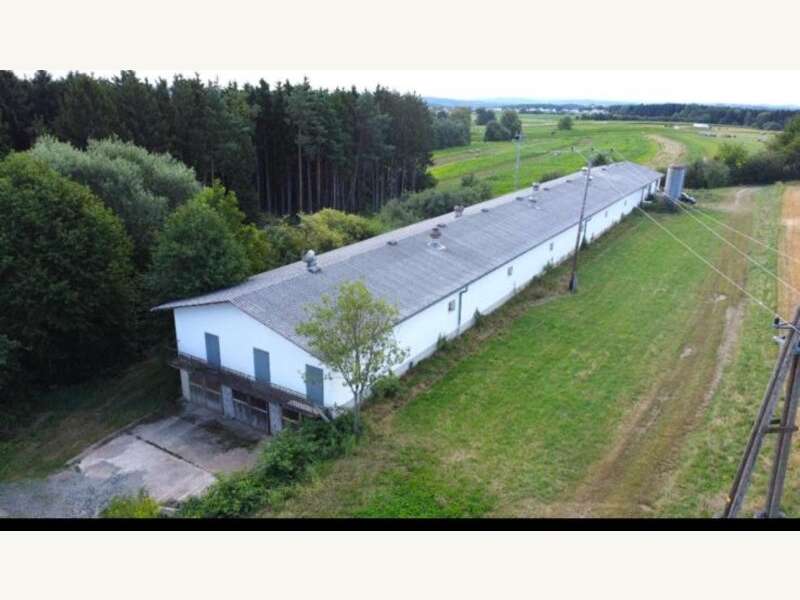 Lager mit Freifläche Stinatz: Ansicht Ansicht