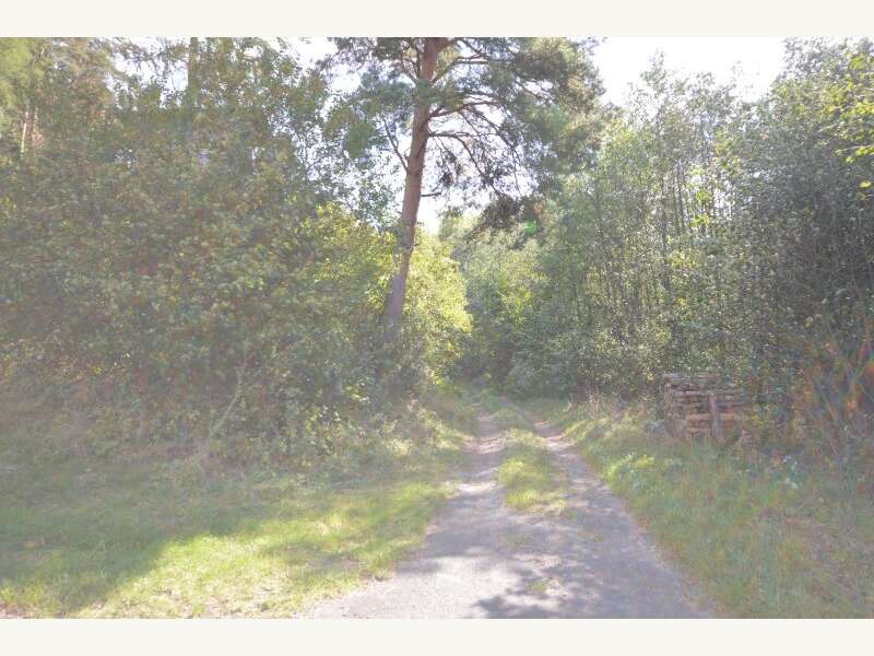 Landwirtschaftsgrund in Bergwerk - Bild 2