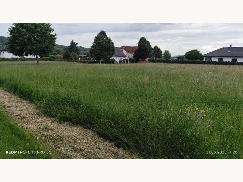 Landwirtschaftsgrund in Sankt Martin in der Wart - Bild 3 Landwirtschaftsgrund in Sankt Martin in der Wart - Bild 3