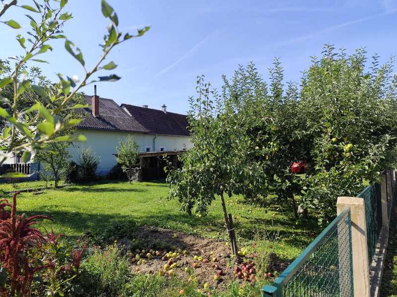 Einfamilienhaus in Jabing - Bild 19