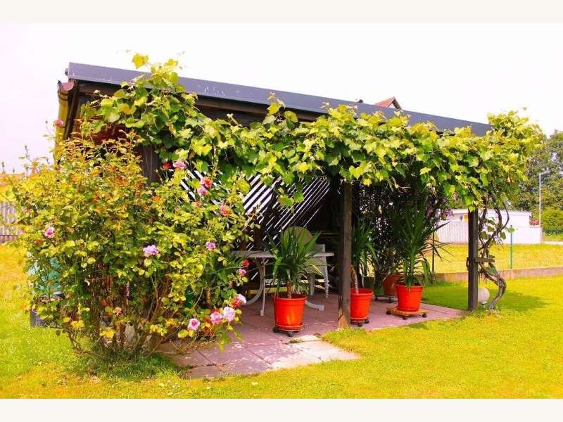 Einfamilienhaus in Pinkafeld - Bild 28