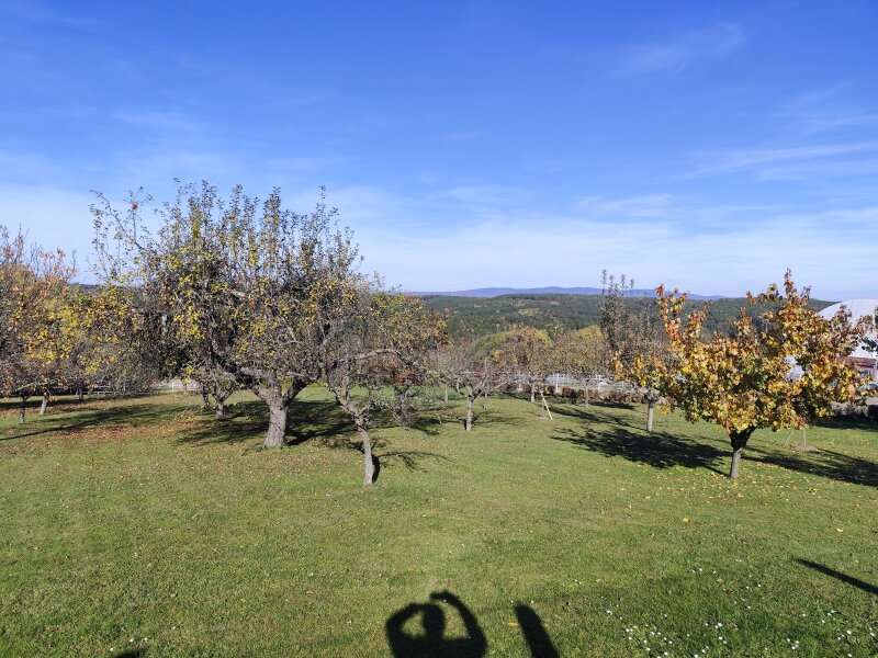 Bauernhaus in Mischendorf - Bild 14 Bauernhaus in Mischendorf - Bild 14