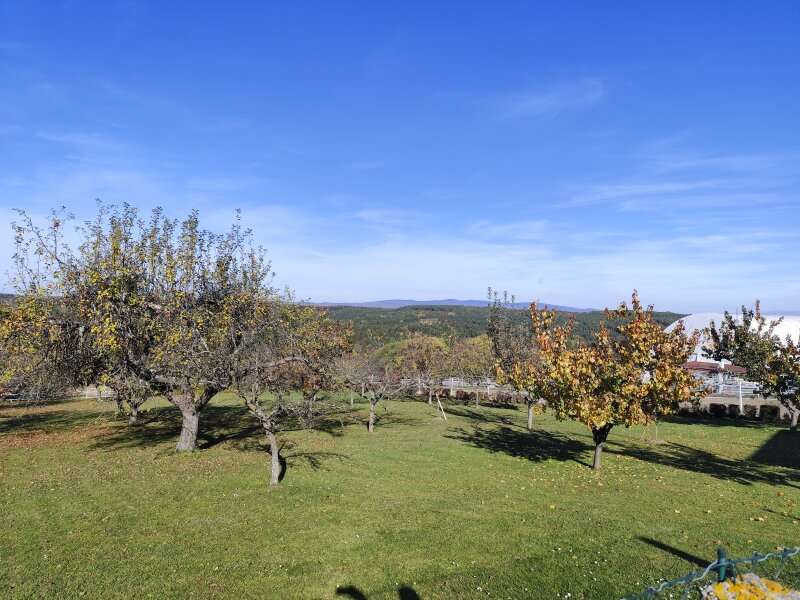 Bauernhaus in Mischendorf - Bild 16 Bauernhaus in Mischendorf - Bild 16