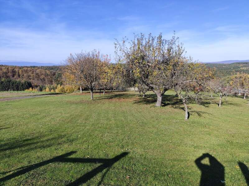 Bauernhaus in Mischendorf - Bild 17 Bauernhaus in Mischendorf - Bild 17