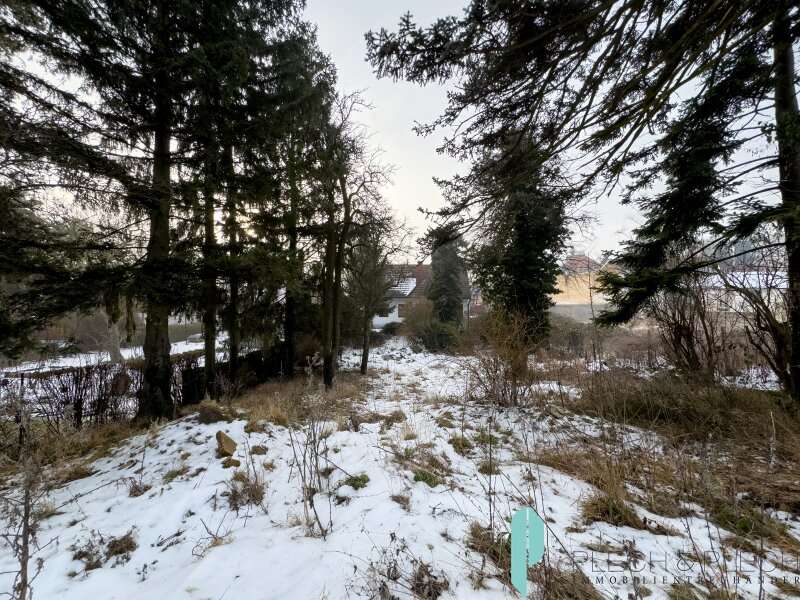 Haus in Gießhübl - Bild 4