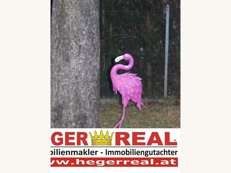 Haus in Sollenau - Bild 3