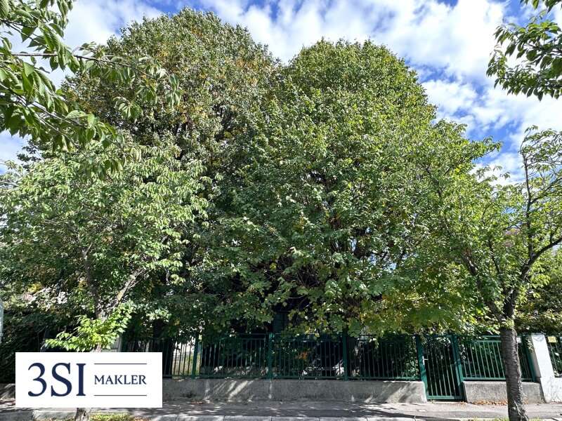 Baugrundstück in Wien - Bild 2 Baugrundstück in Wien - Bild 2