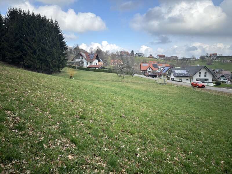 Landwirtschaft in Gossendorf - Bild 2