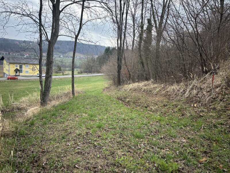 Landwirtschaft in Gossendorf - Bild 3