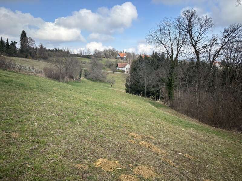 Landwirtschaft in Gossendorf - Bild 4