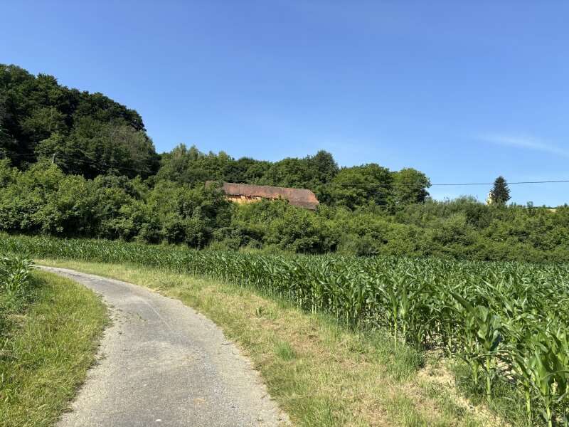 Landwirtschaft in Tautendorf bei Fürstenfeld - Bild 5