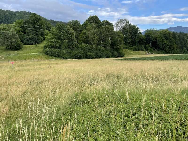 Bauernhof in Möchling - Bild 4